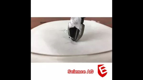 Video: Bologneser Träne