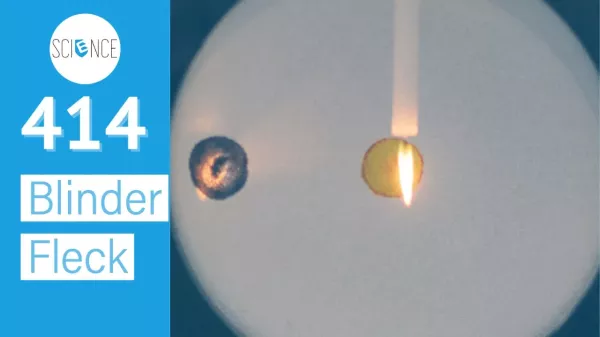 Video: Blinder Fleck