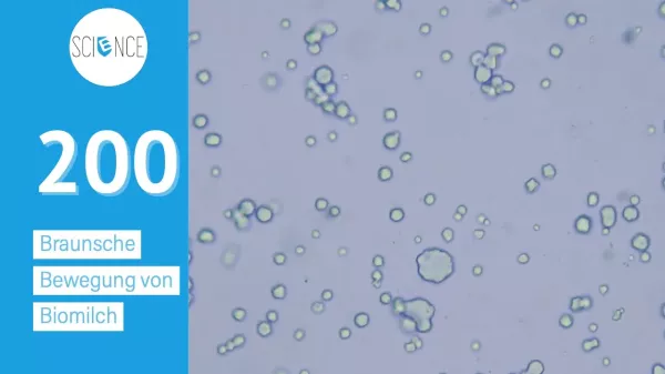 Video: Braunsche Bewegung von Fettpartikel in Bio Milch