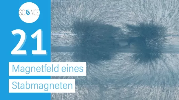 Video: Magnetfeld eines Stabmagneten II
