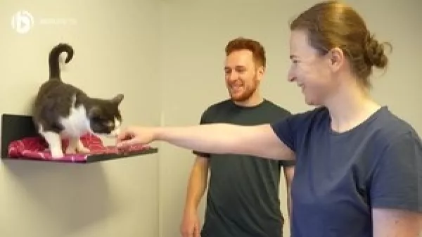 Video: Tierpfleger/in - Tierheim und Tierpension