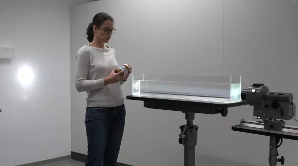 Video: Himmelblau und Abendrot durch Rayleigh-Streuung