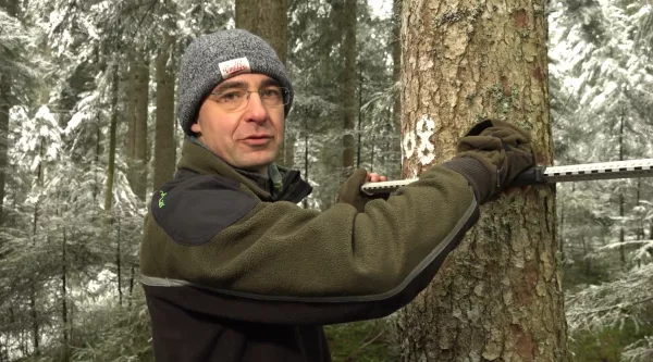 Video: 2) Struktur und Dimensionen im Plenterwald
