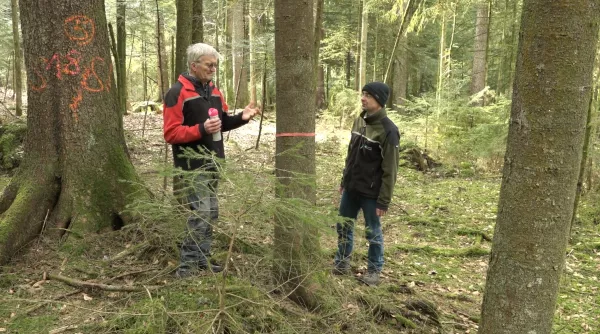 Video: 8) Plenterung im bäuerlichen Privatwald: Interview mit Hofbesitzer (Teil 3)