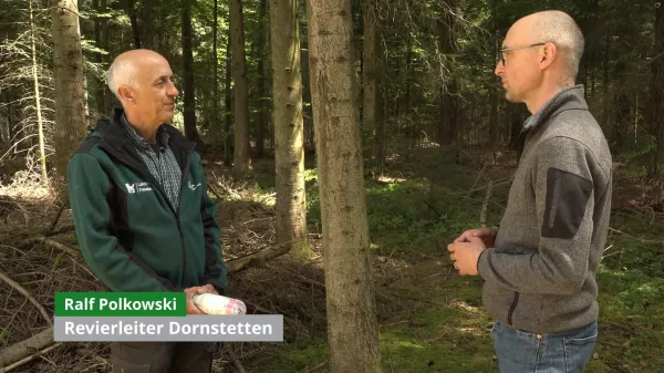 Video: 18) Fortgeschrittene Überführung von Fichten-betonten Altersklassenwäldern hin zu plenterwaldartigen Wäldern