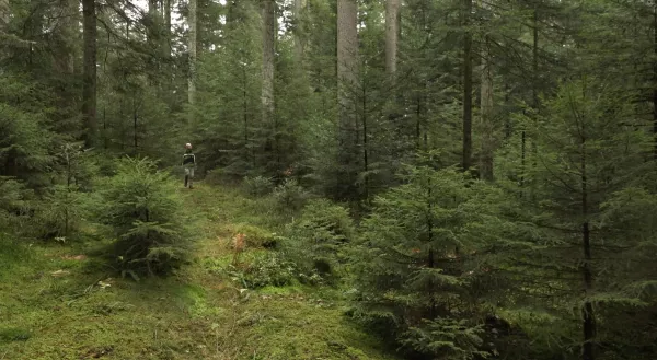 Video: 1) Einführung und Örtlichkeit Plenterwald