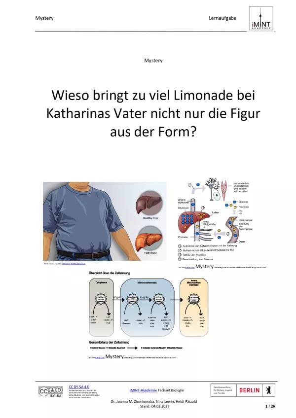 Unterrichtsbaustein: Mystery Fettleber (mit Bewertungsbogen)