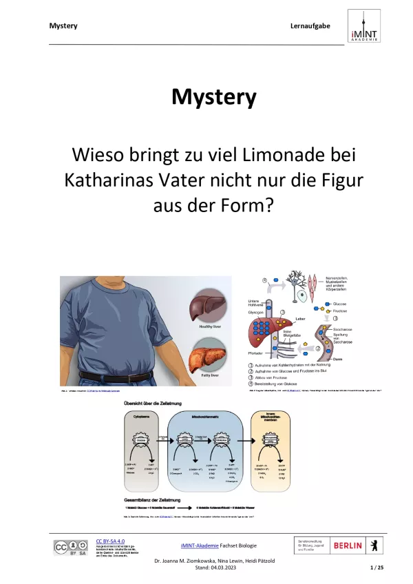 Unterrichtsbaustein: Mystery Fettleber (PDF)