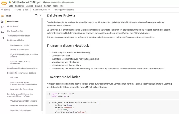 Sonstiges: D4 Jupyter Notebook: Erklärbarkeit von neuronalen Netzen am Beispiel CNN