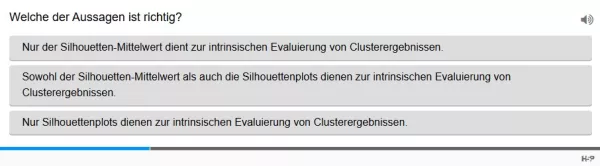 Lernspiel: C8-4 Single Choice: Ziel der Silhouetten-Berechnung. Quiz zum Video
