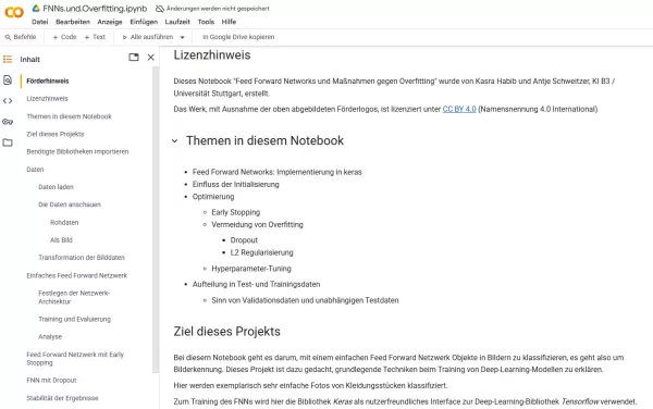 Sonstiges: F2 Jupyter Notebook: FNNs und Overfitting