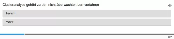 Lernspiel: C8-4 Single Choice: Intrinsische Evaluierung. Quiz zum Video