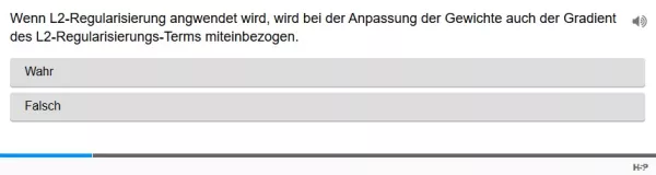 Lernspiel: C9-3 Single Choice: Weight Decay. Quiz zum Video