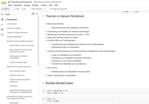 Sonstiges: F4 Jupyter Notebook: Transfer Learning