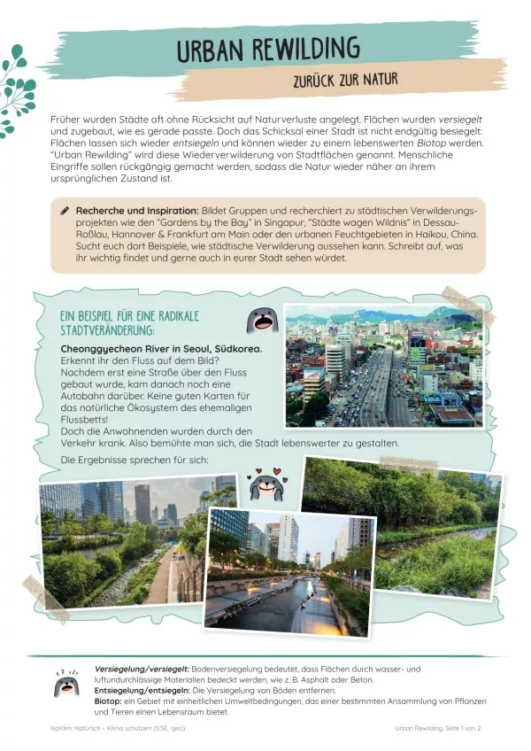 Unterrichtsbaustein: Urban Rewilding