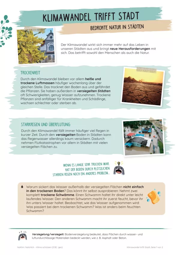 Unterrichtsbaustein: Klimawandel trifft Stadt
