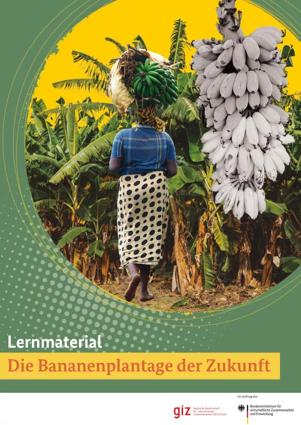 Unterrichtsbaustein: Die Bananenplantage der Zukunft: Lernmaterial