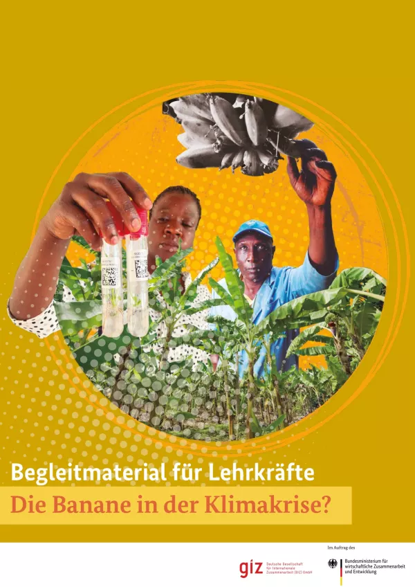 Unterrichtsplanung: Die Banane in der Klimakrise?: Begleitmaterial für Lehrkräfte