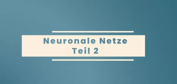 Video: Prognosemodelle: Klassifikation und Regression | 03 | Neuronale Netze - Teil 2 (MP4)