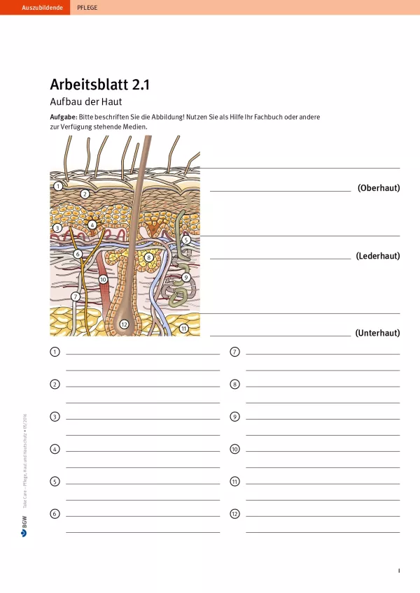 Arbeitsblatt: Take Care Haut und Hautschutz: Aufbau der Haut (Arbeitsblatt 2.1)