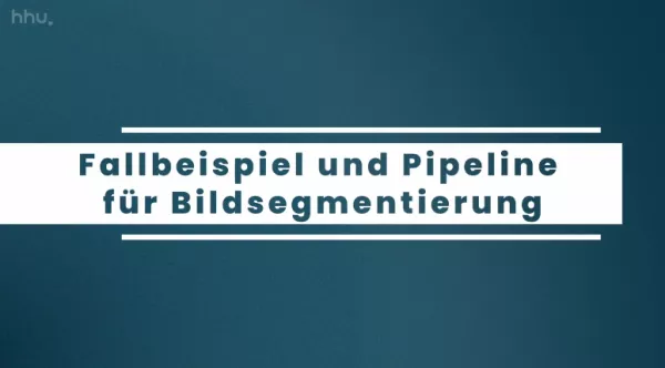 Video: Bildklassifikation und Bildsegmentierung | 08 | Fallbeispiel und Pipeline für Bildsegmentierung (MP4)