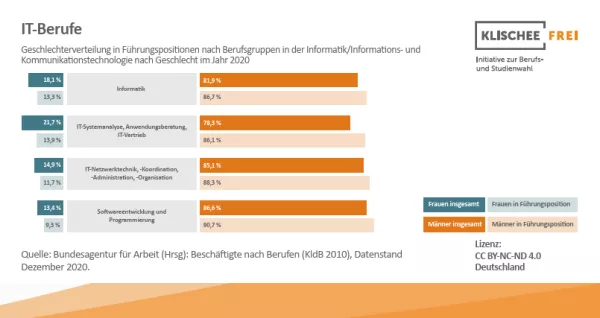 Infografik: IT-Berufe | Abbildung 5 | Geschlechterverteilung in Führungspositionen nach Berufsgruppen