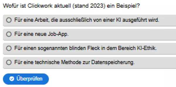 Interaktion: Woche 5 | Ethik | Benachteiligung und blinde Flecken (Aufgabe 3)
