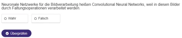 Interaktion: Bildklassifikation und Bildsegmentierung | 05 | Woher kommt die Bezeichnung „Convolutional”? (Aufgabe 1)