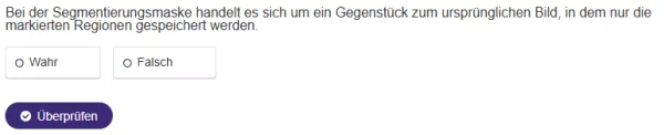 Interaktion: Bildklassifikation und Bildsegmentierung | 08 | Fallbeispiel und Pipeline für Bildsegmentierung (Aufgabe 2)