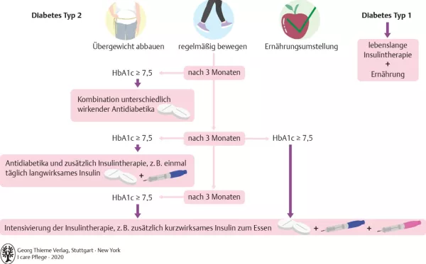 Bild: I care Pflege | Pflege bei speziellen Erkrankungen | Therapie bei Diabetes mellitus (Grafik)