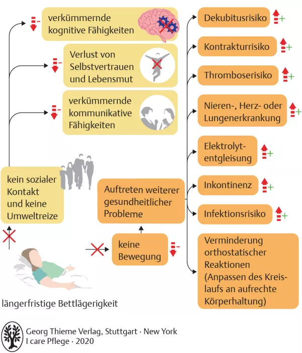 Bild: I care Pflege | Pflegebasismaßnahmen | Auswirkungen längerfristiger Bettlägerigkeit (Grafik)