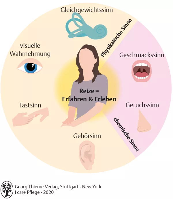 Bild: I care Pflege | Pflegebasismaßnahmen | Sinneswahrnehmungen (Grafik)