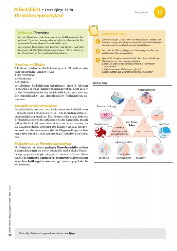 Arbeitsblatt: I care Pflege | Pflegebasismaßnahmen | Thromboseprophylaxe (Arbeitsblatt)