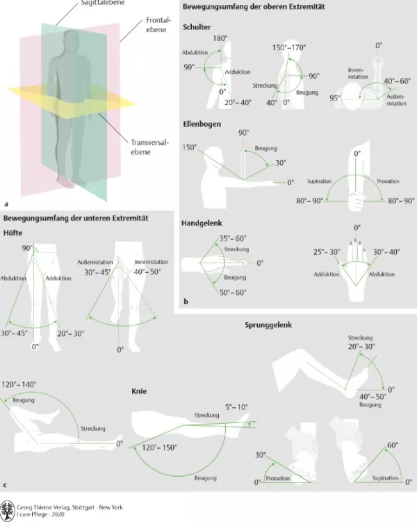 Bild: I care Krankheitslehre | Spezielle Krankheitslehre | Neutral-Null-Methode (Grafik)