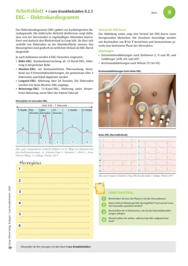 Arbeitsblatt: I care Krankheitslehre | Spezielle Krankheitslehre | EKG – Elektrokardiogramm (Arbeitsblatt)