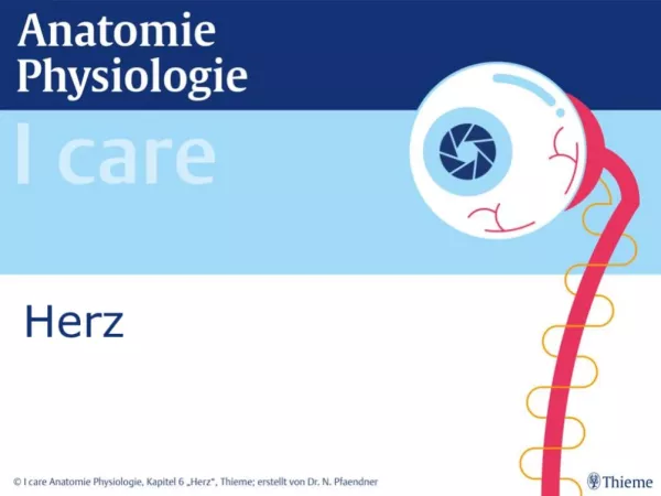 Presentation: I Care Anatomie | Organsysteme | Herz (Präsentation)