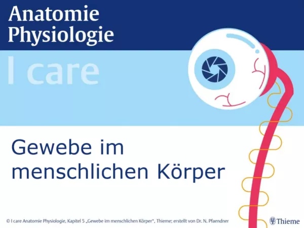 Presentation: I Care Anatomie | Grundlagen | Gewebe im menschlichen Körper (Präsentation)