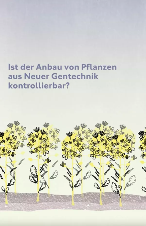 Video: Ist der Anbau von Pflanzen aus Neuer Gentechnik kontrollierbar? Das Beispiel Raps