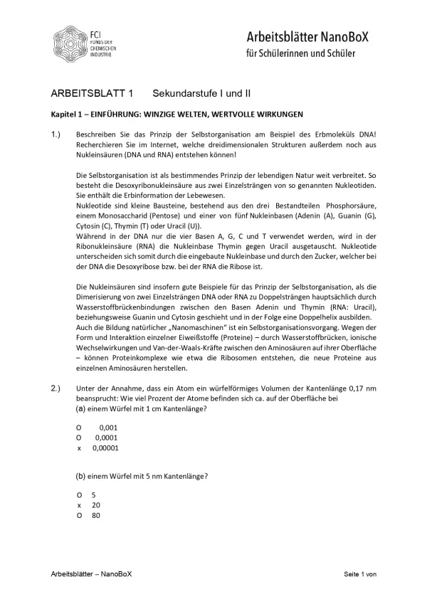 Unterrichtsplanung: Nanotechnologie - Arbeitsblätter/Didaktische Hinweise