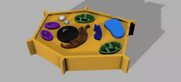 Entdeckendes: Pflanzenzelle (zip-Datei)