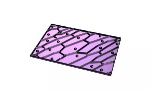 Entdeckendes: Onion Cell (zip-Datei)