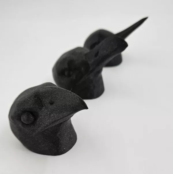 Entdeckendes: beaks of birds (zip-Datei)