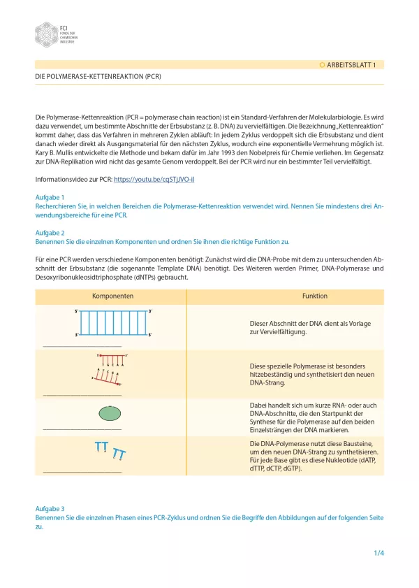 Unterrichtsbaustein: Impfungen: Kleiner Piks - große Wirkung: PCR und Schnelltest - Schülerversion