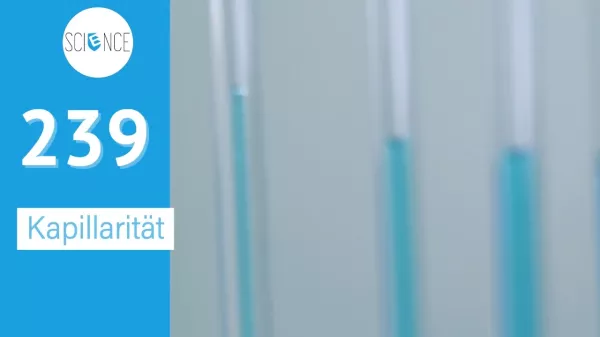 Video: Kapillarität