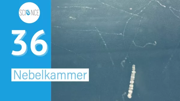 Video: Nebelkammer