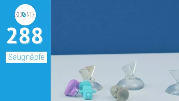 Video: Saugnäpfe