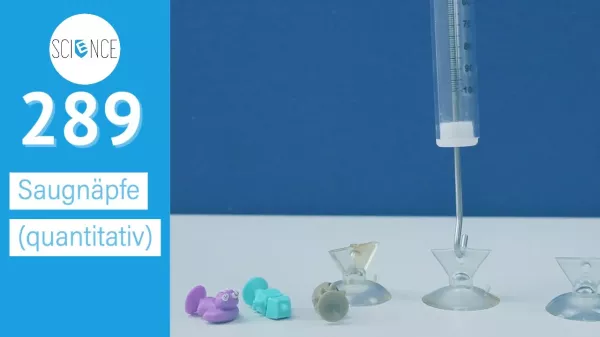 Video: Saugnäpfe quantitativ