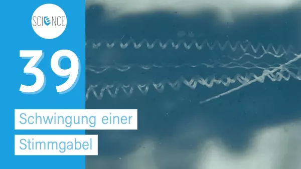Video: Schwingende Stimmgabel