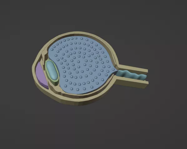 Entdeckendes: eye 2 (zip-Data)