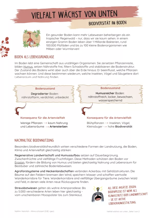 Unterrichtsbaustein: Vielfalt wächst von unten | Biodiversität im Boden